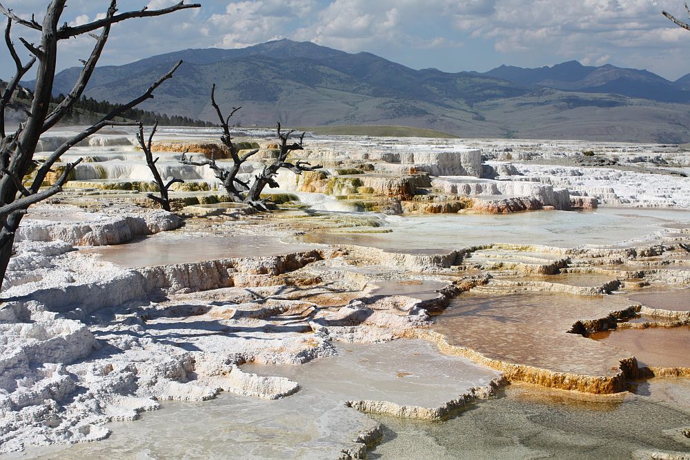 Die Sinterterassen von Mammoth Hot Springs...