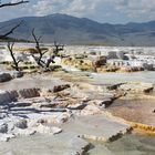 Die Sinterterassen von Mammoth Hot Springs...