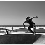Die Skater von Venice Beach (2)
