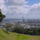 Die Skyline von Auckland vom Mount Eden aus gesehen