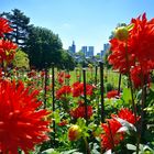 Die Skyline von Frankfurt mal anders