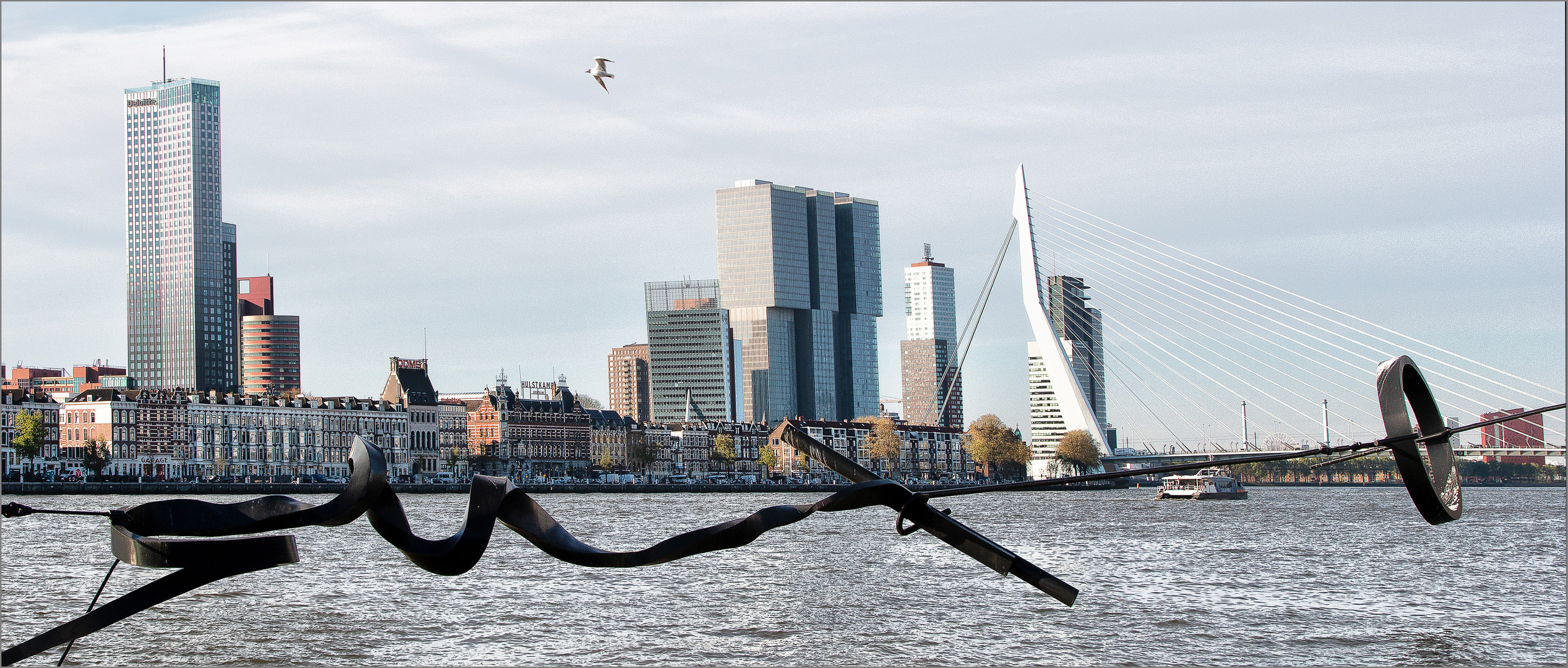 Die Skyline von Rotterdam