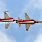 Die Solisten der Patrouille Suisse