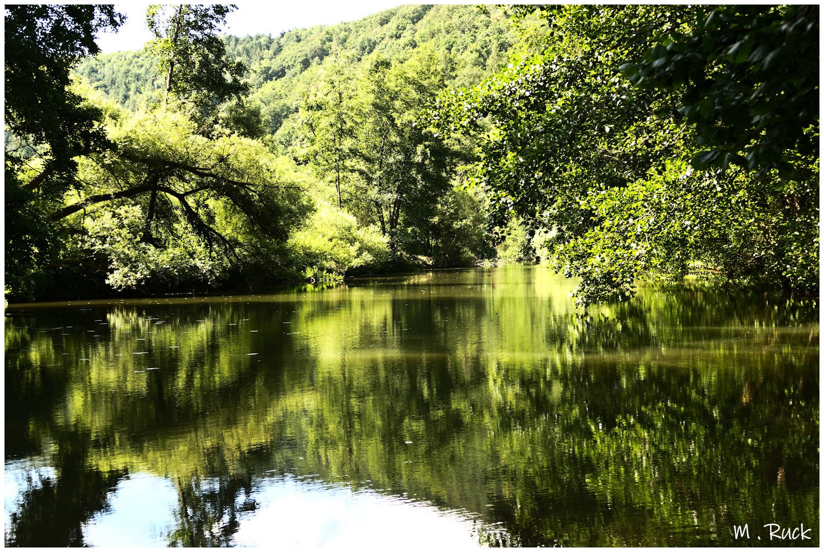 Die sommerliche Tauber ,