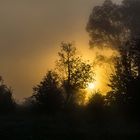 Die Sommersonne brennt sich durch den Nebel