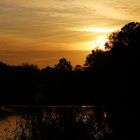 Die Sonn steigt hinterm Wald dort ein