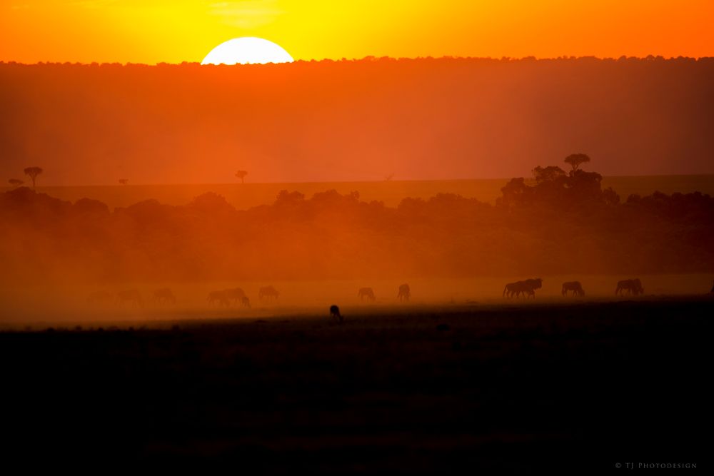 Die-Sonne-Afrikas