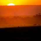 Die-Sonne-Afrikas