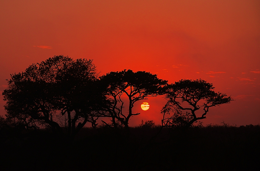 Die Sonne Afrikas