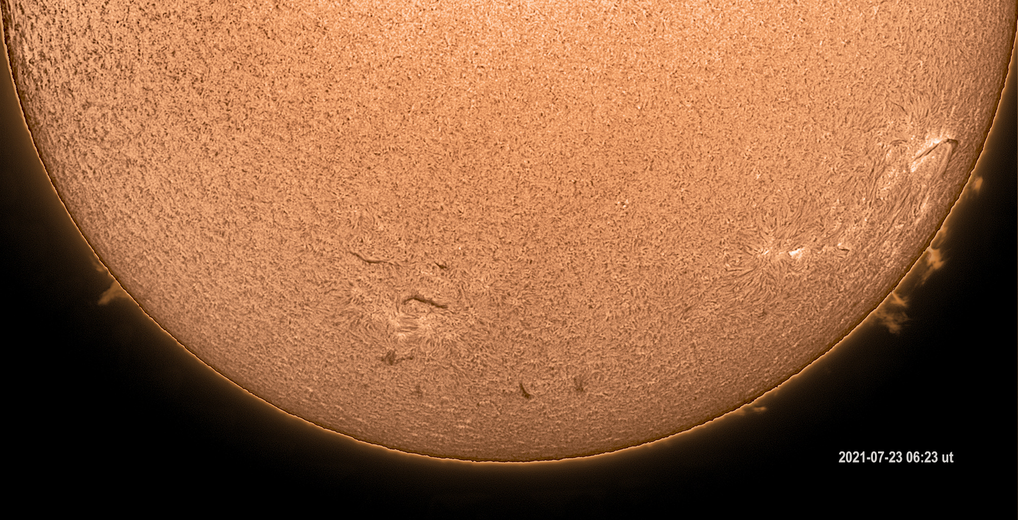 Die Sonne am 23.Juli 2021 im Licht des H-Alpha.