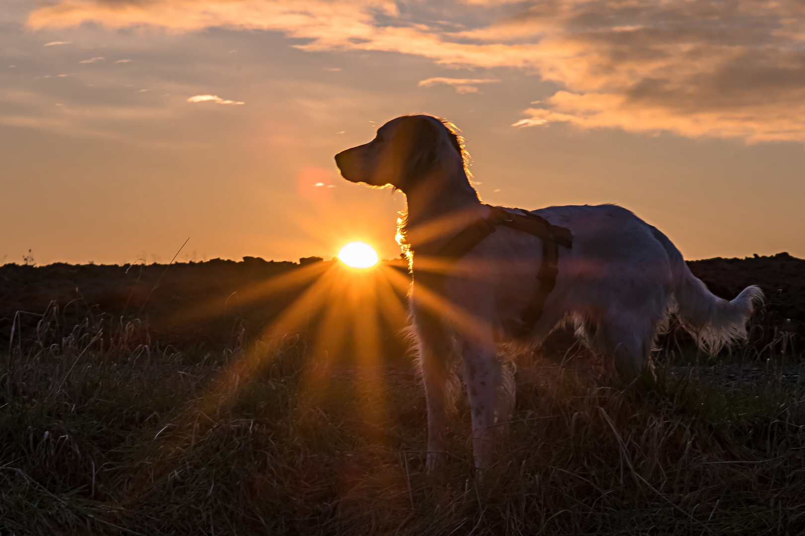 Die Sonne am Abend genießen