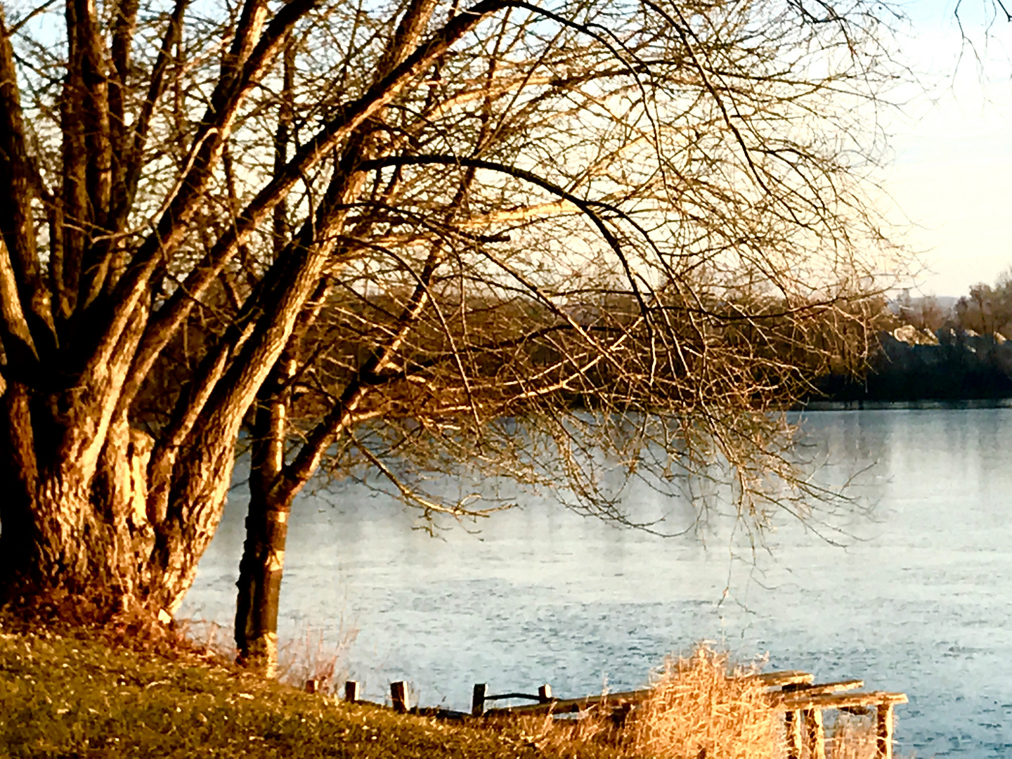 Die Sonne auf dem winterlichen  See in 