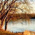 Die Sonne auf dem winterlichen  See in 