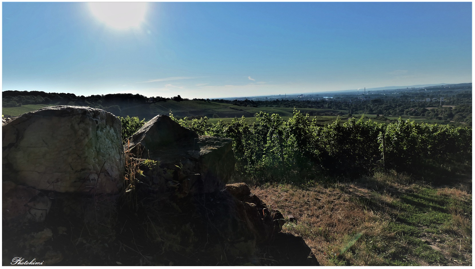 Die Sonne auf den Weinbergen