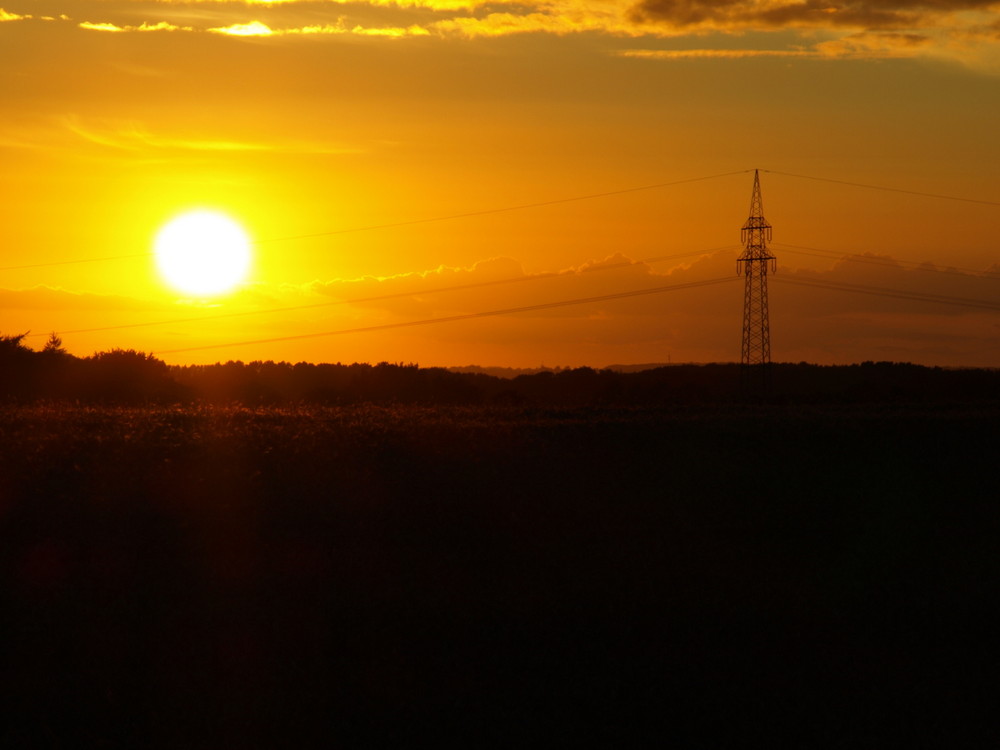 Die Sonne auf der Leine.