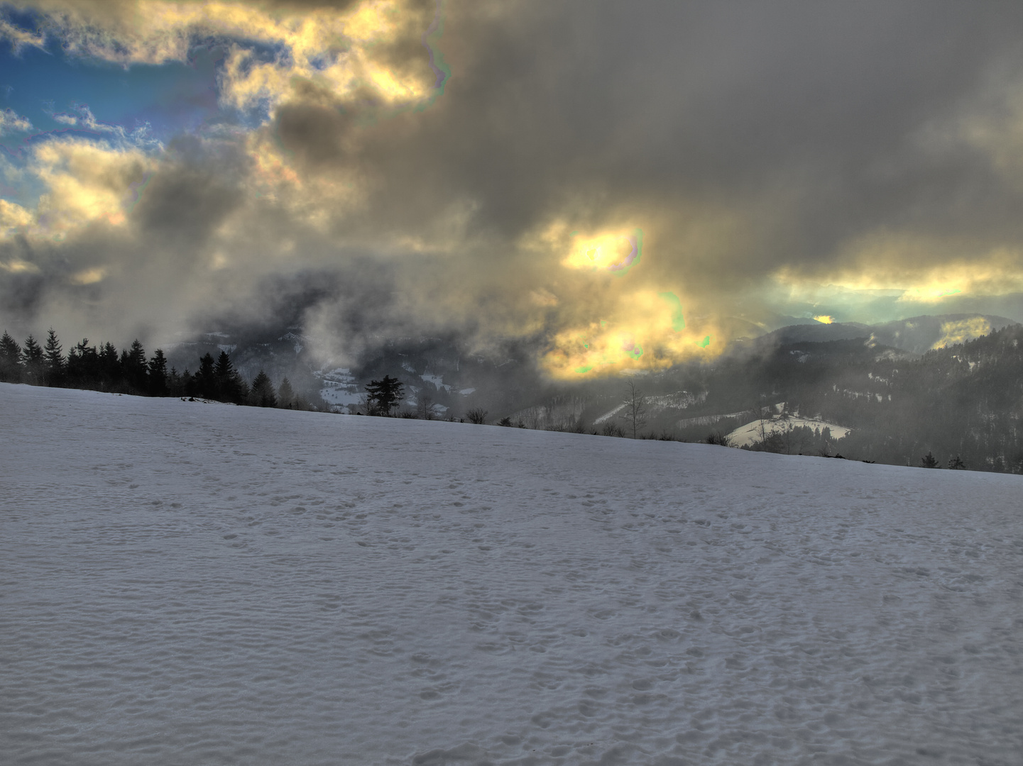 Die Sonne bäumt sich auf