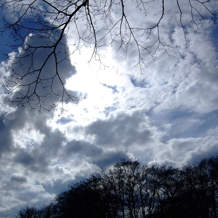 Die Sonne bahnt sich ihren Weg... ;-)