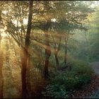 Die Sonne bahnt sich ihren Weg