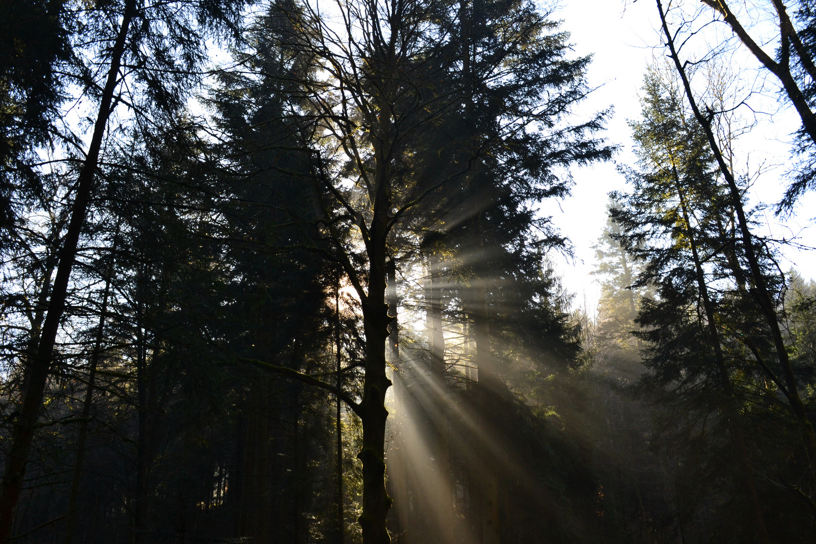 Die Sonne bahnt sich ihren Weg 