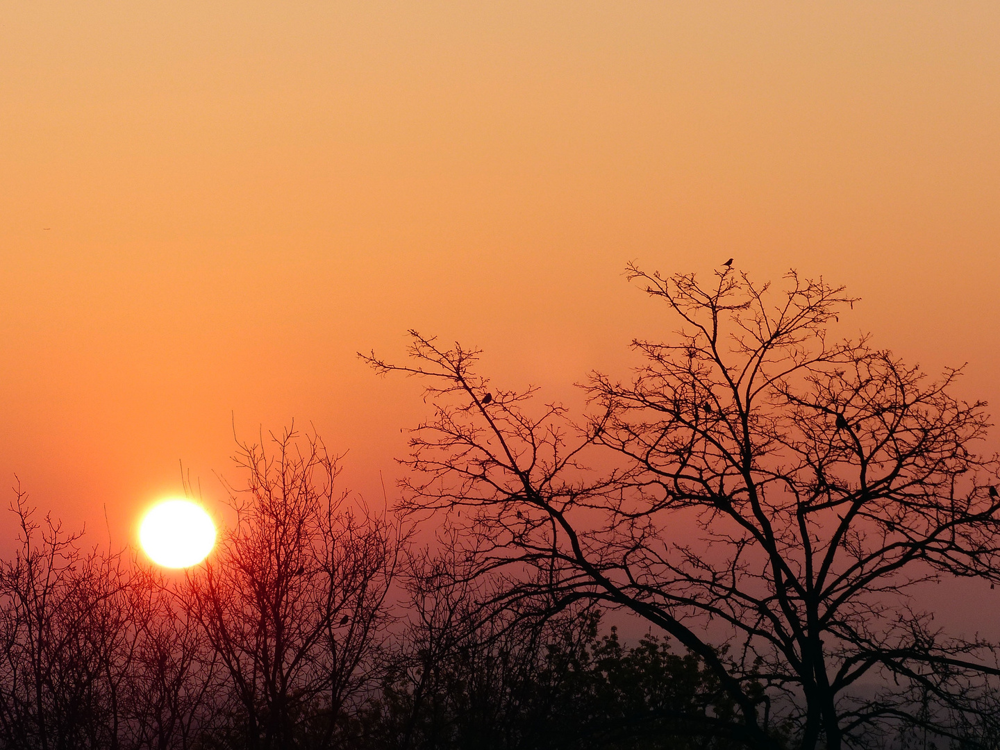 Die Sonne begrüßen