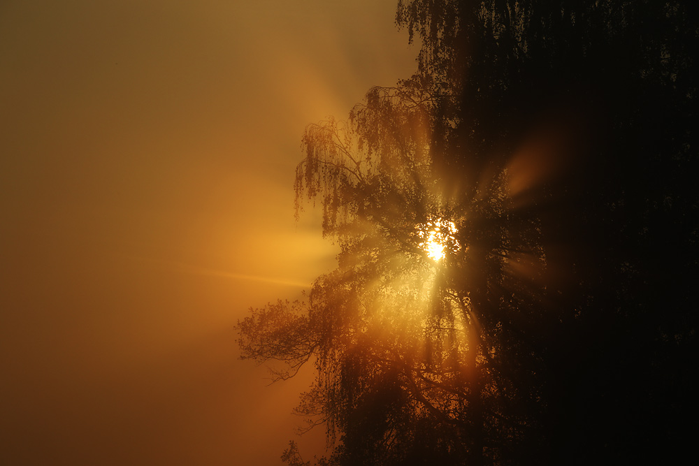 die Sonne begrüßt den Morgen