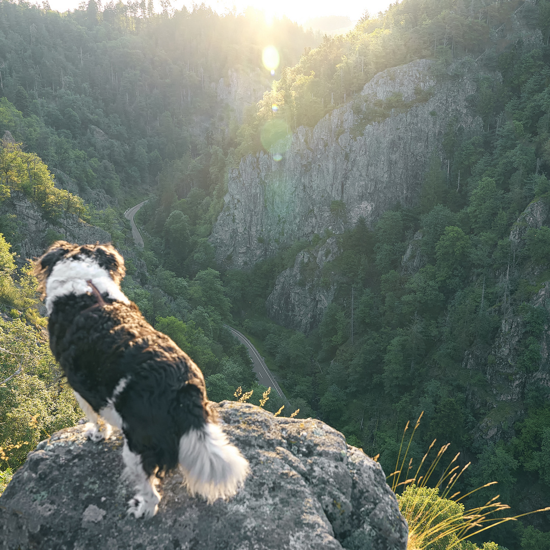 Die Sonne begrüßt den Tag