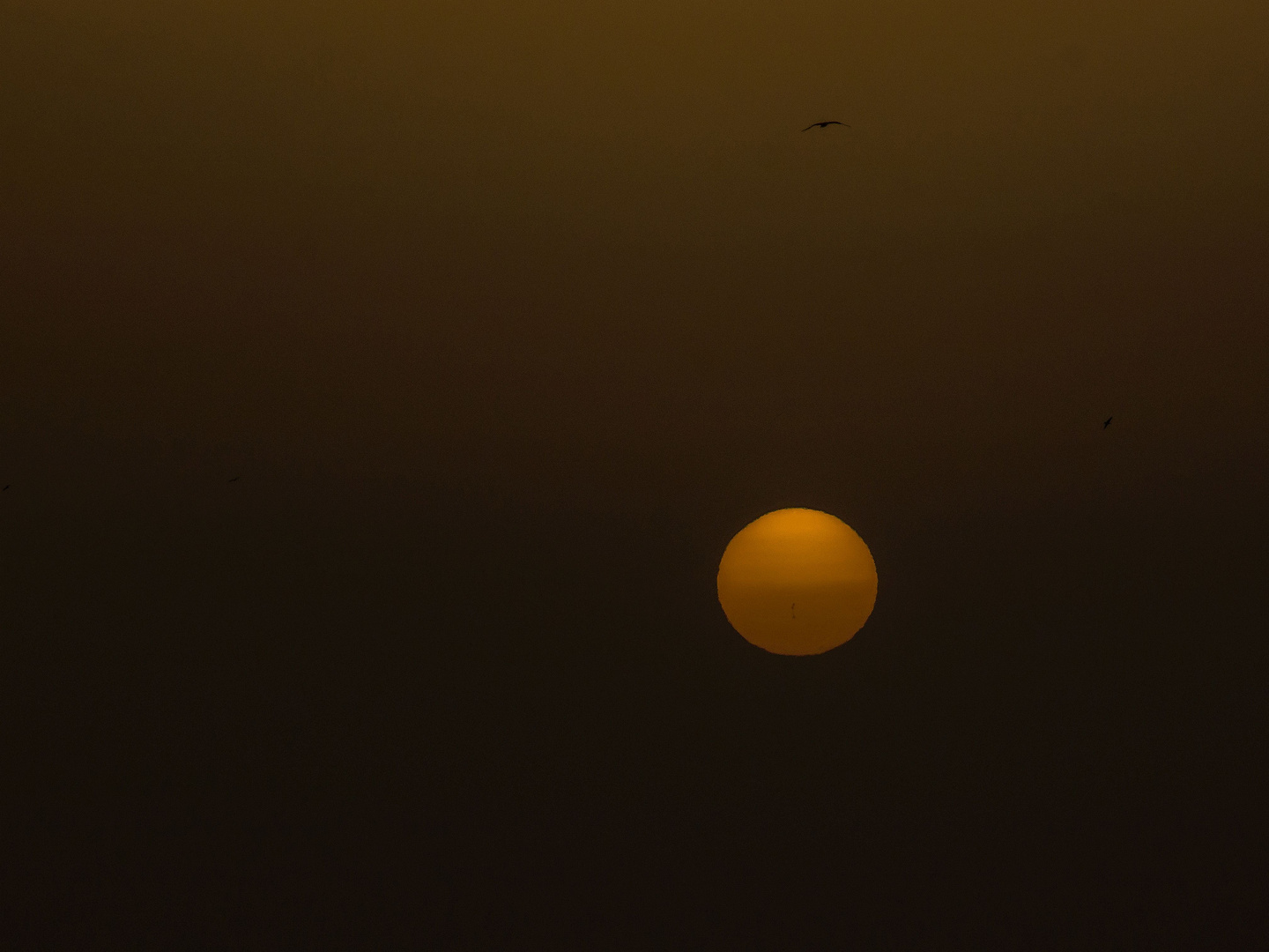 Die Sonne bei Fuerteventura / El Sol cerca de Fuerteventura