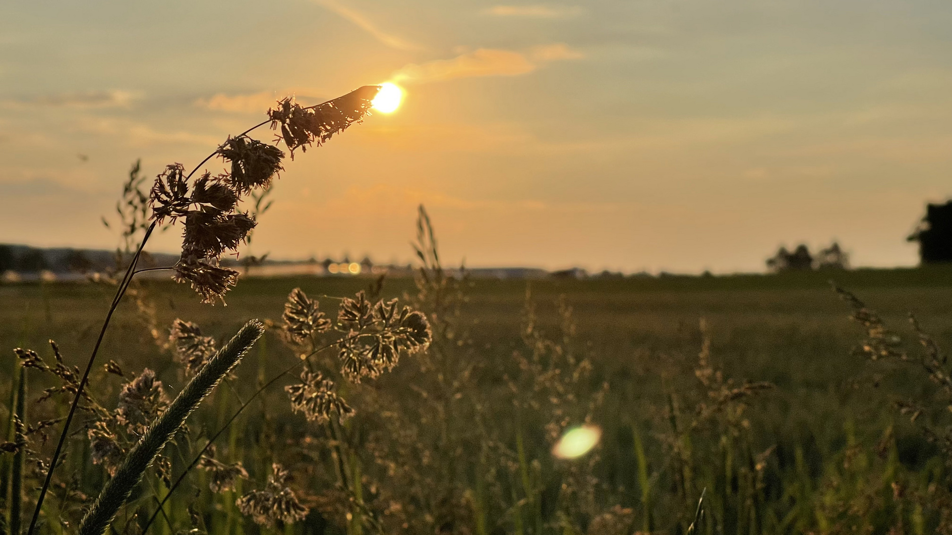 Die Sonne berührt