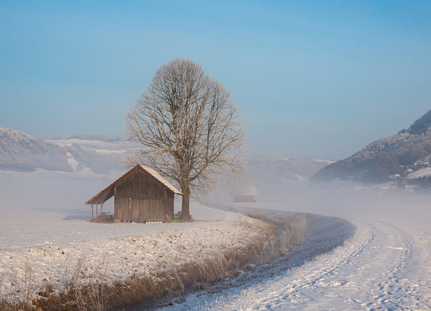 .... die Sonne besiegt den Nebel ....