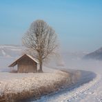 .... die Sonne besiegt den Nebel ....