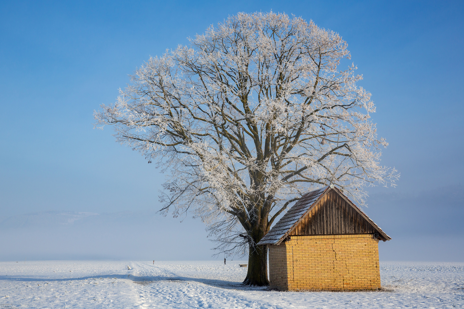 ,,,, die Sonne besiegt den Nebel