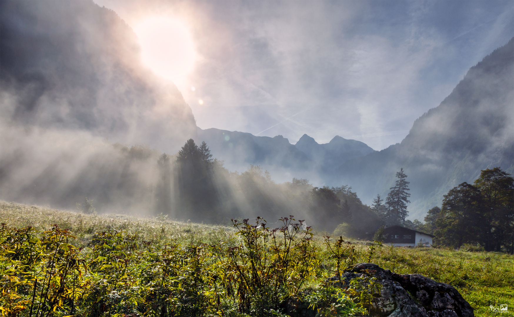 Die Sonne bezwang den Nebel - Bayern517