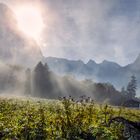 Die Sonne bezwang den Nebel - Bayern517