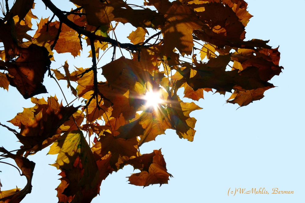 Die Sonne blinzelt durch den Herbst