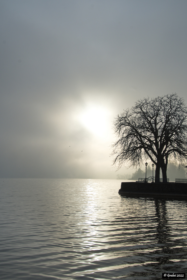 die Sonne blinzelt durch den Nebel 