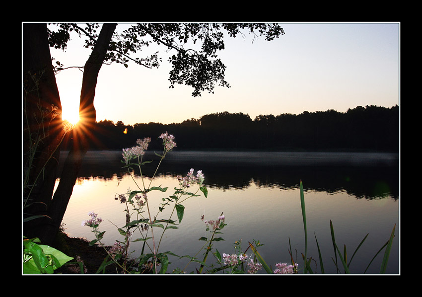 Die Sonne blinzelt mir zu....