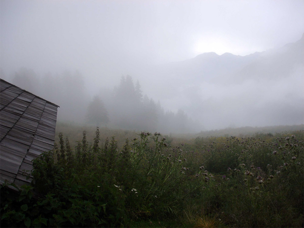 Die Sonne brennt sich durch den Nebel