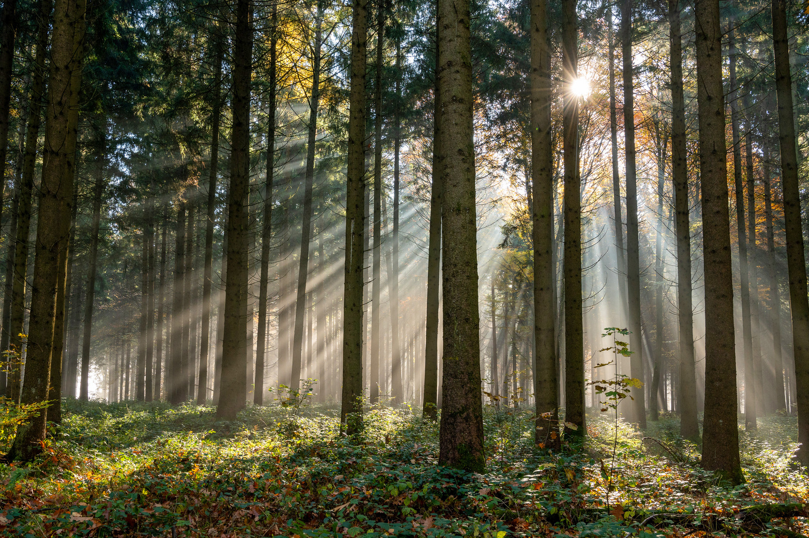 Die Sonne bricht durch