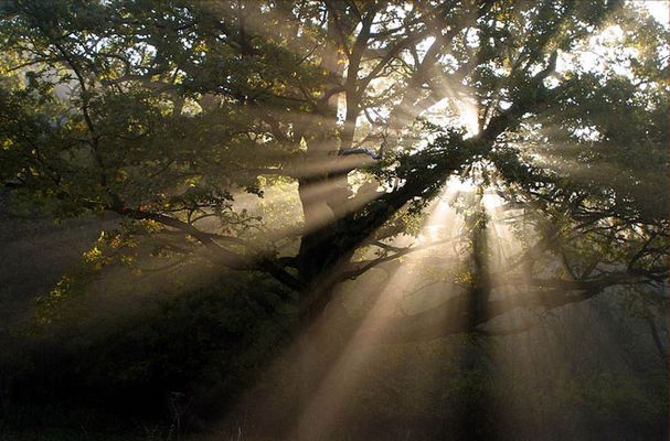 die Sonne bricht durch...