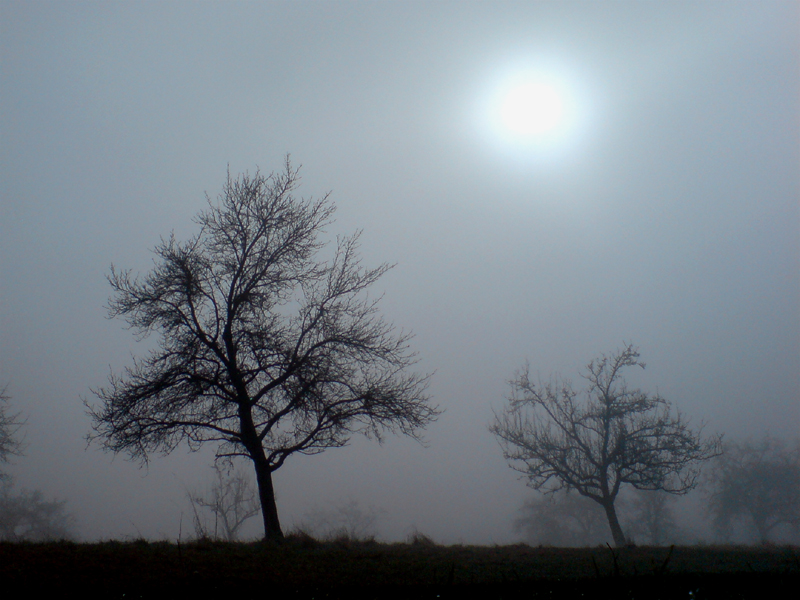 Die Sonne bricht durch