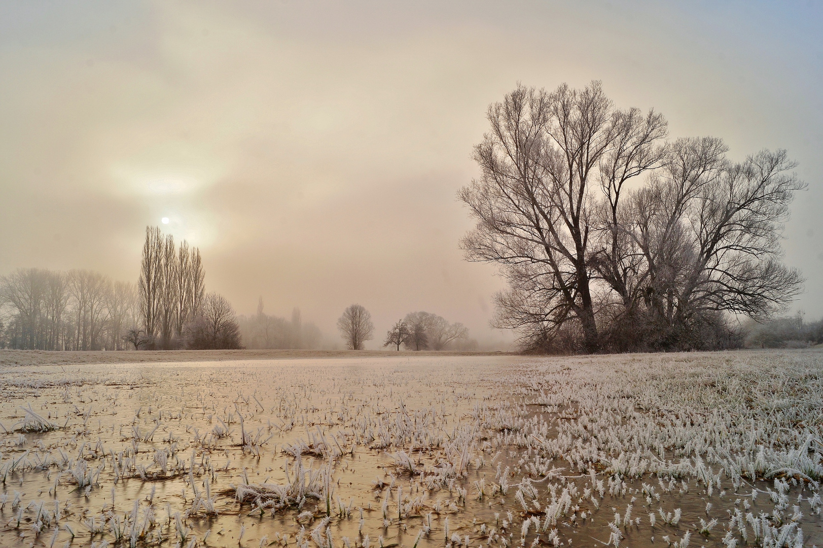 Die Sonne bricht durch den Nebel.