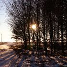 die sonne bricht durch - ob da der sommer kommt?