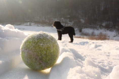 die sonne bringt alles zum strahlen..