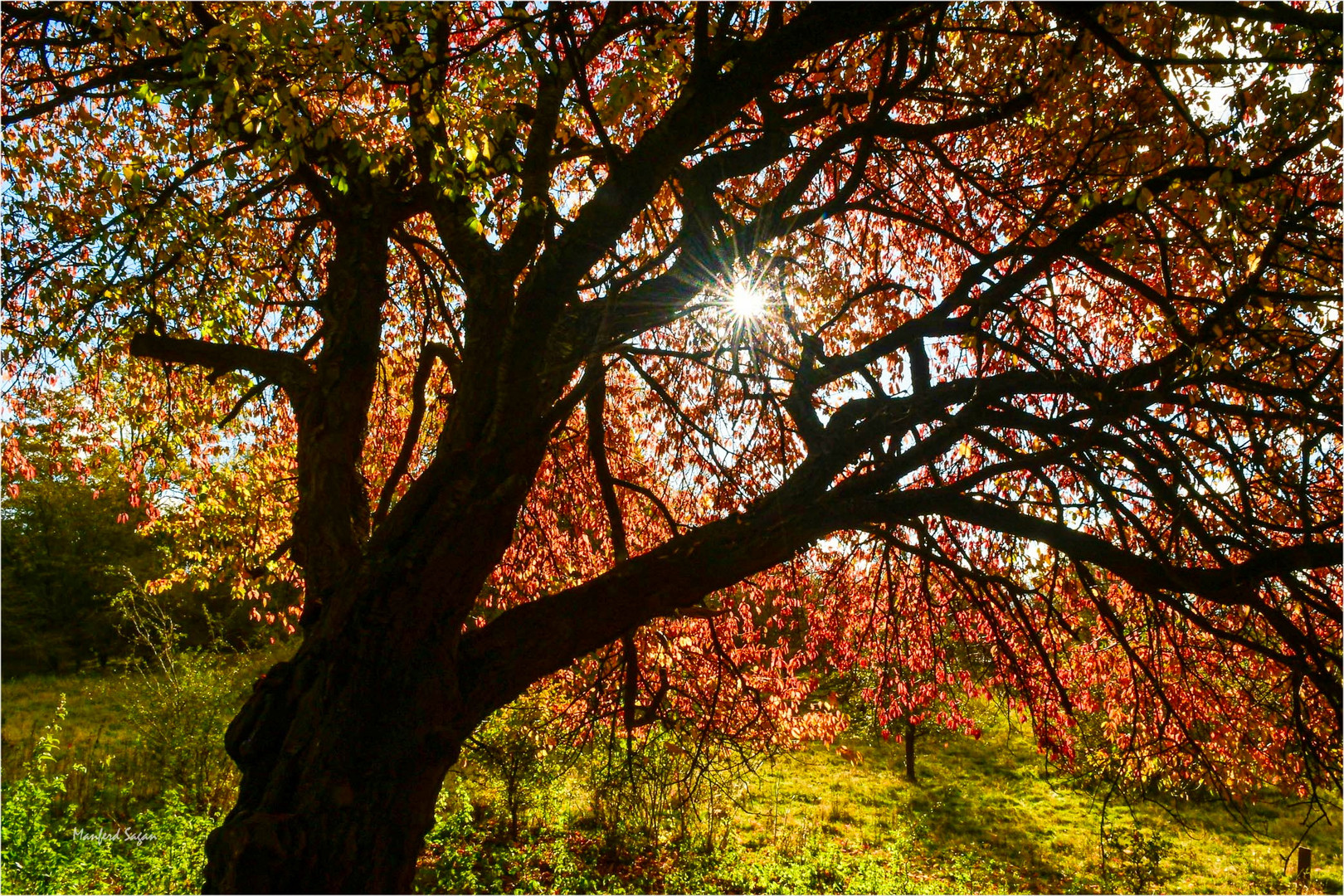 Die Sonne bringt die Herbstfarben zum leuchten... 