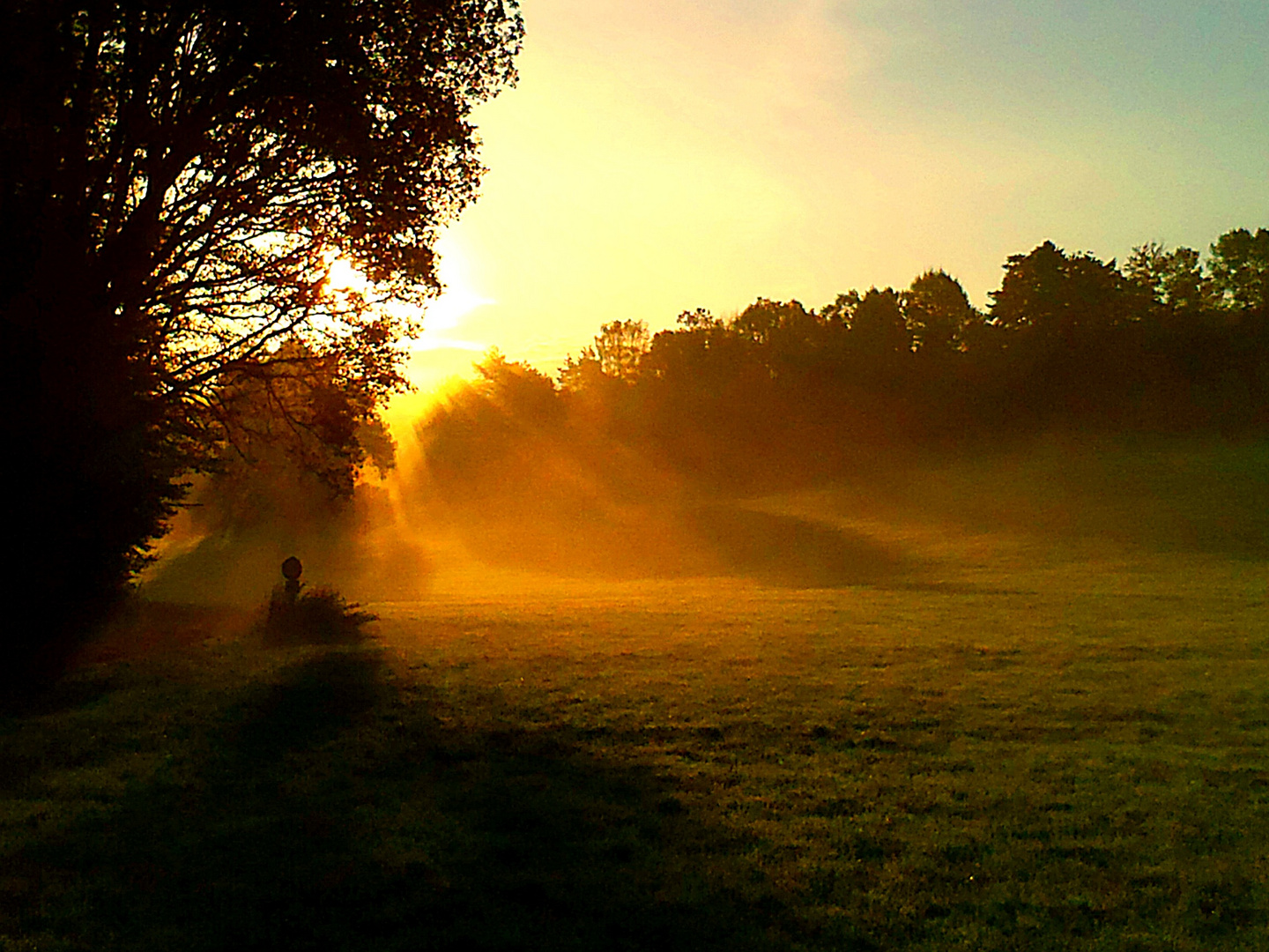 Die Sonne bringt es an den Tag