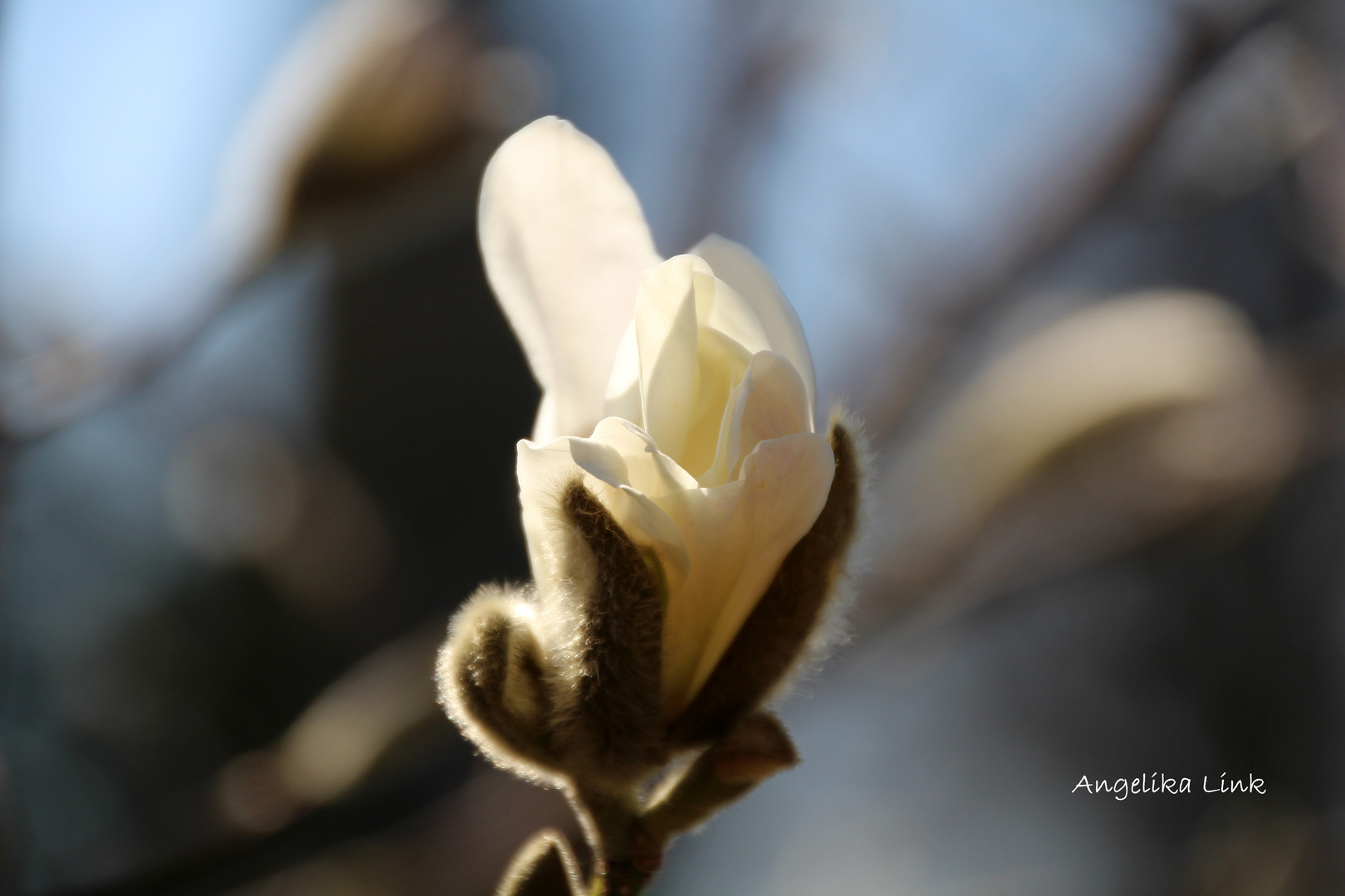 Die Sonne bringt es an den Tag