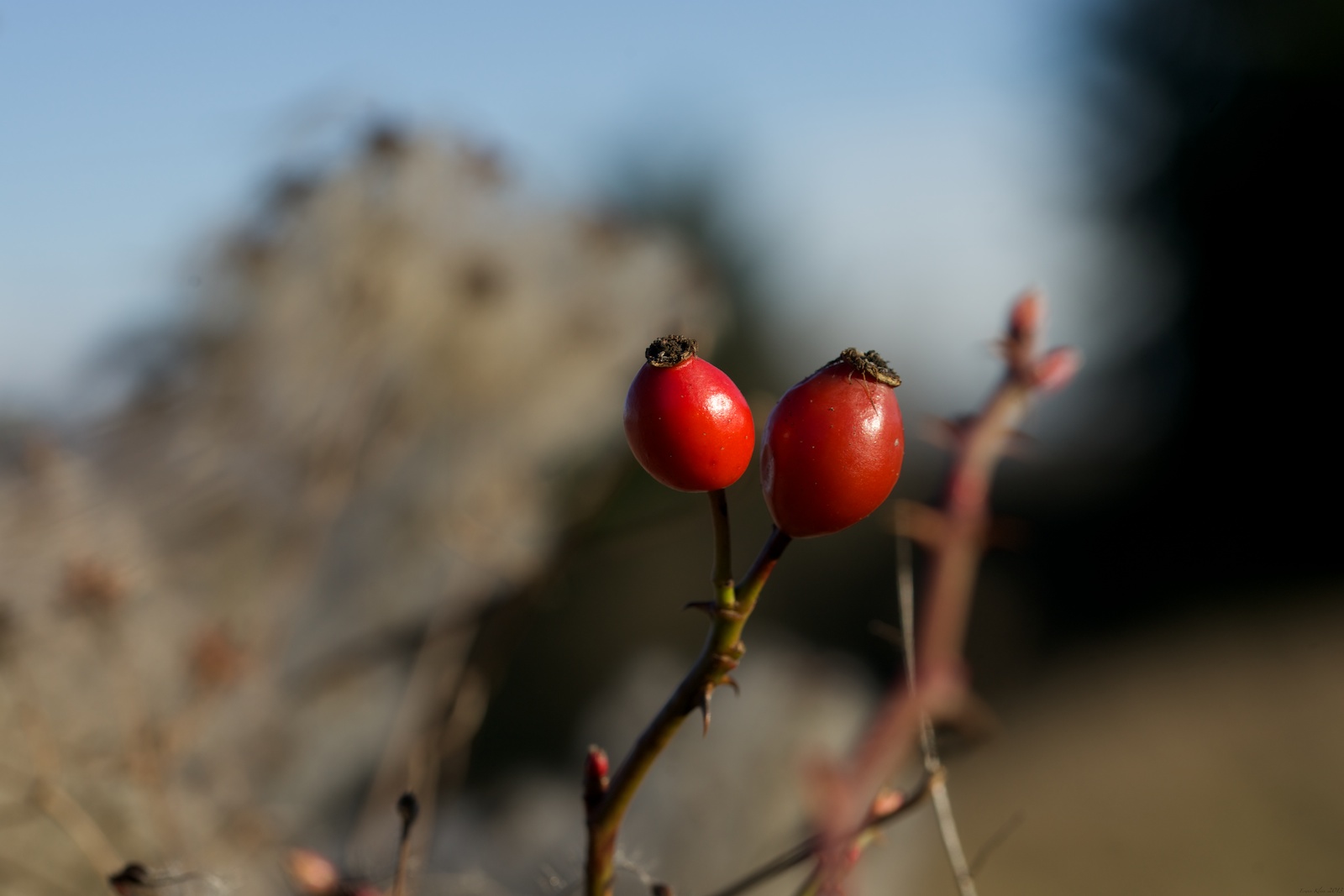 Die Sonne bringt es an den Tag!