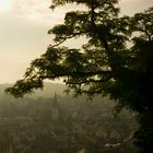 Die Sonne, die Altstadt, der Nebel