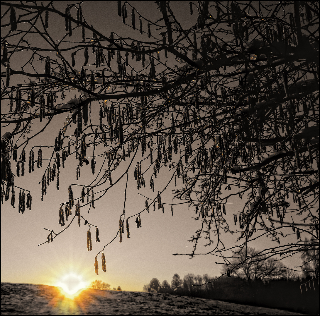 Die Sonne, die mir zulächelte... - Le soleil qui me souriait....