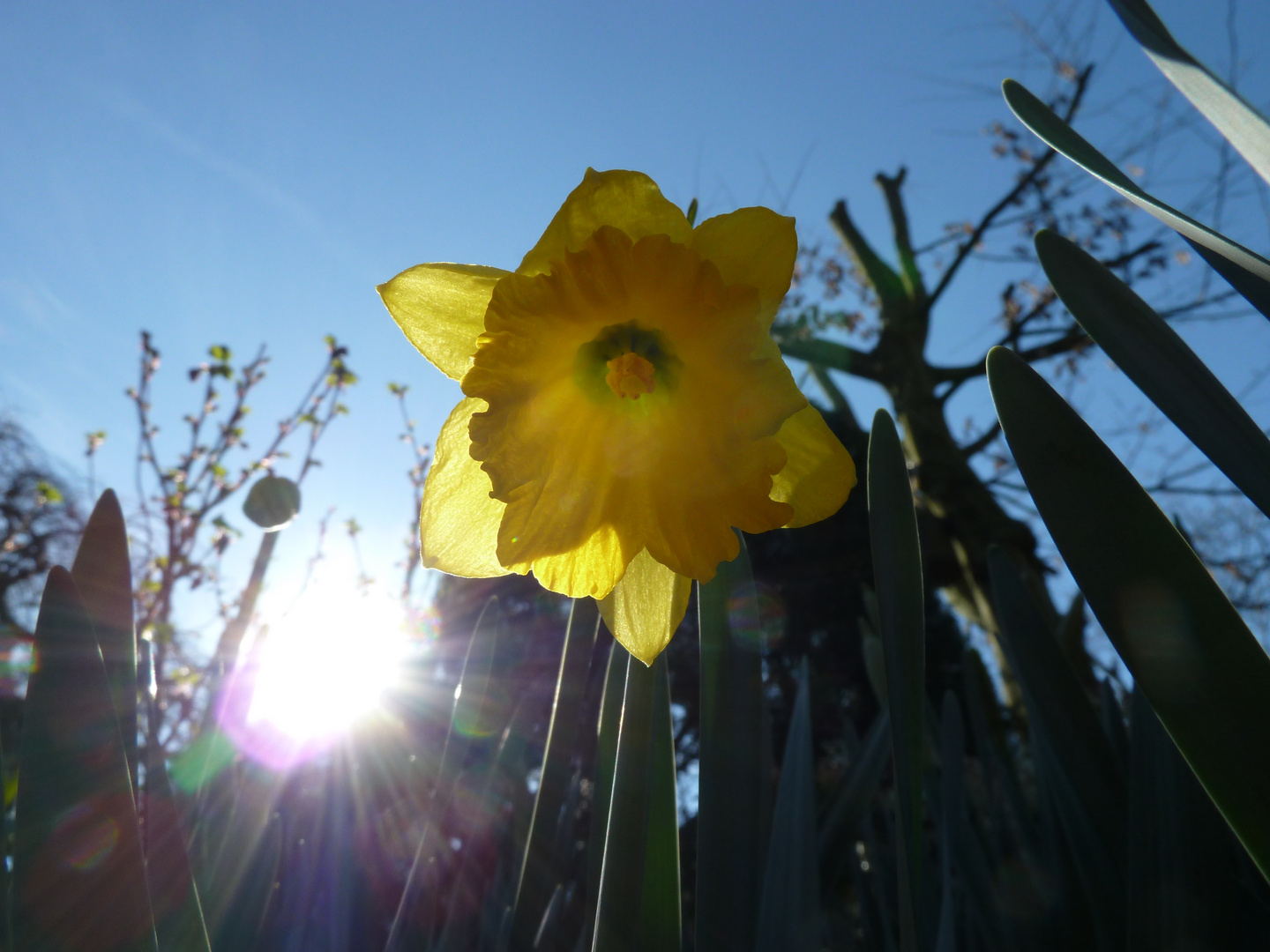 Die Sonne.... die Sonne und Du!